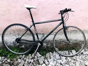 Clean Embassy Bicycle