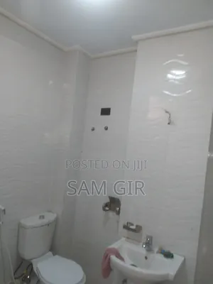 Furnished 1bdrm Apartment in Meri 40 60, Bole for rent