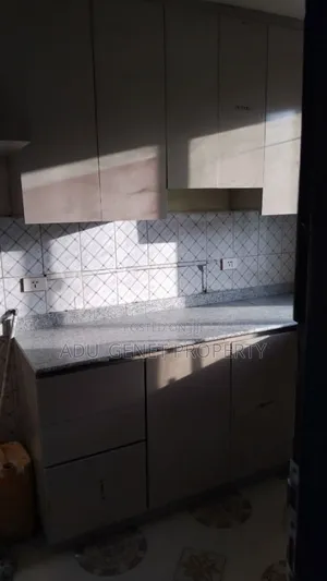 Furnished 1bdrm Condo in አባዶ, Yeka for sale