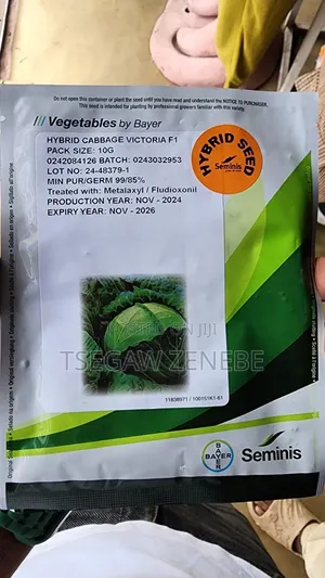 Photo - Cabbage Seed