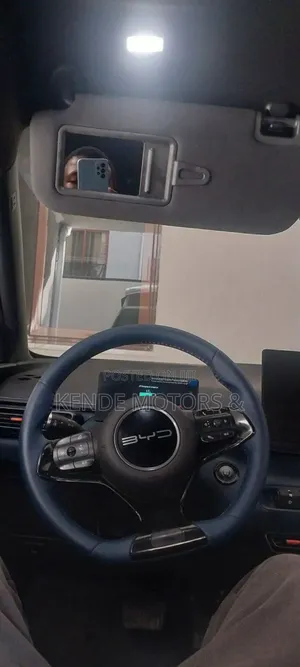 BYD Seagull 30 kWh FWD 2023 White