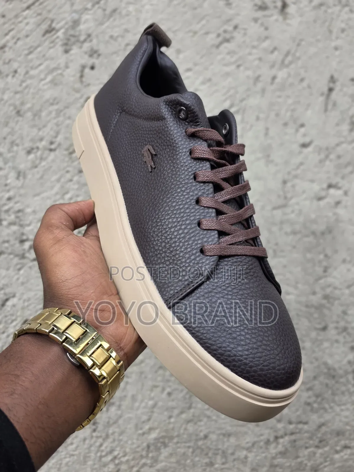 New Lacoste Dark Brown Fashion Shoes