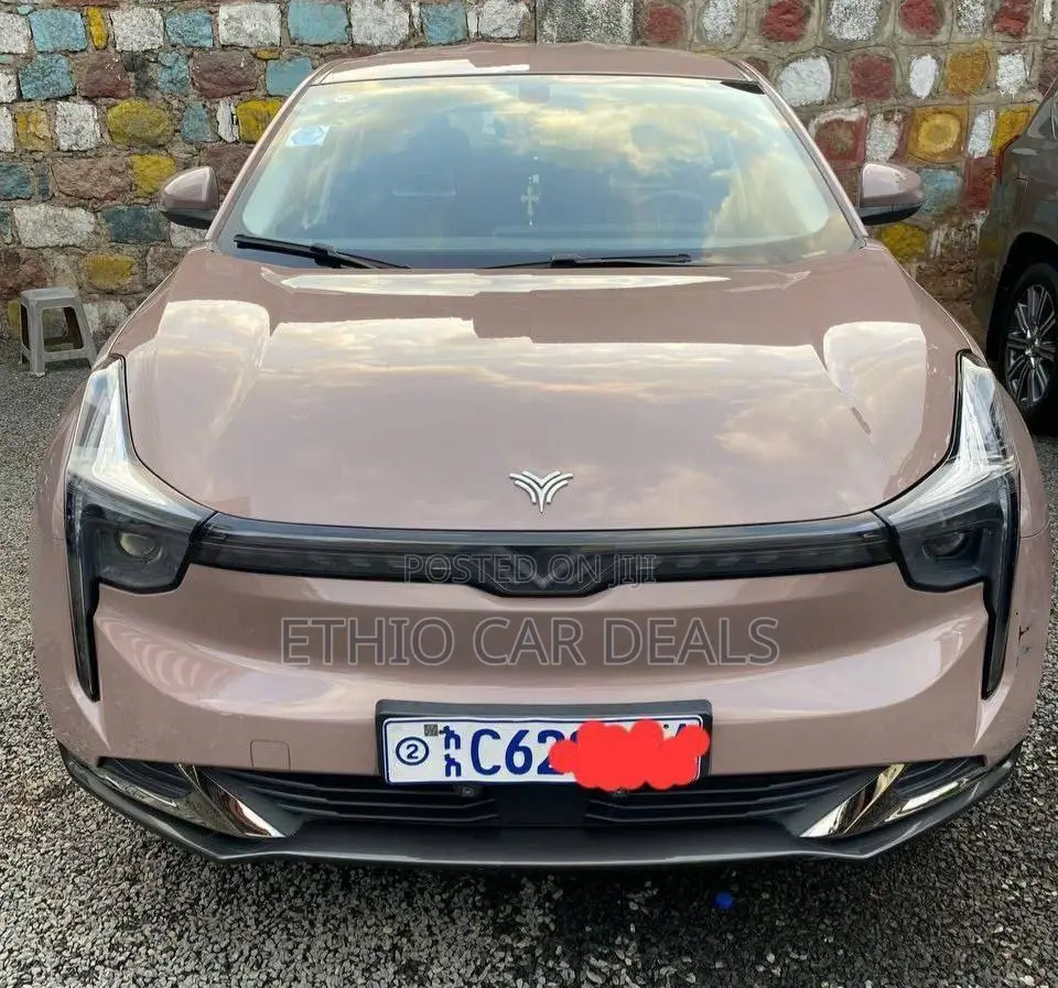 Hozon Neta U 2022 Gold