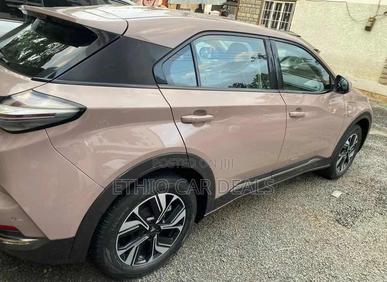 Hozon Neta U 2022 Gold