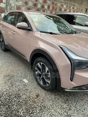 Hozon Neta U 2022 Gold