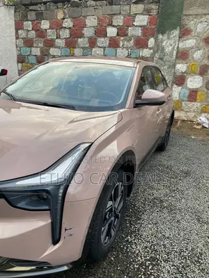 Hozon Neta U 2022 Gold