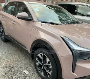 Hozon Neta U 2022 Pink