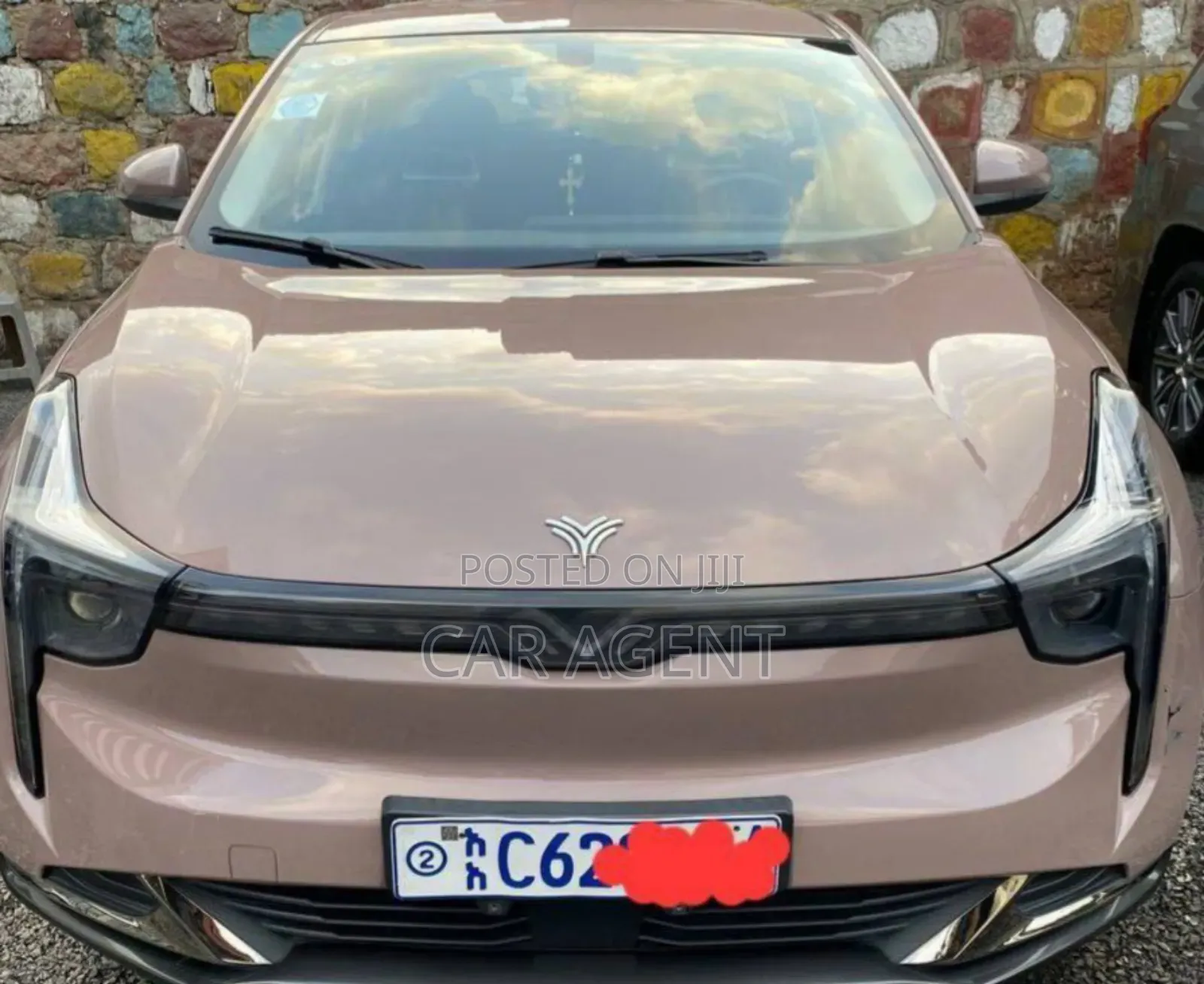 Hozon Neta U 2022 Pink