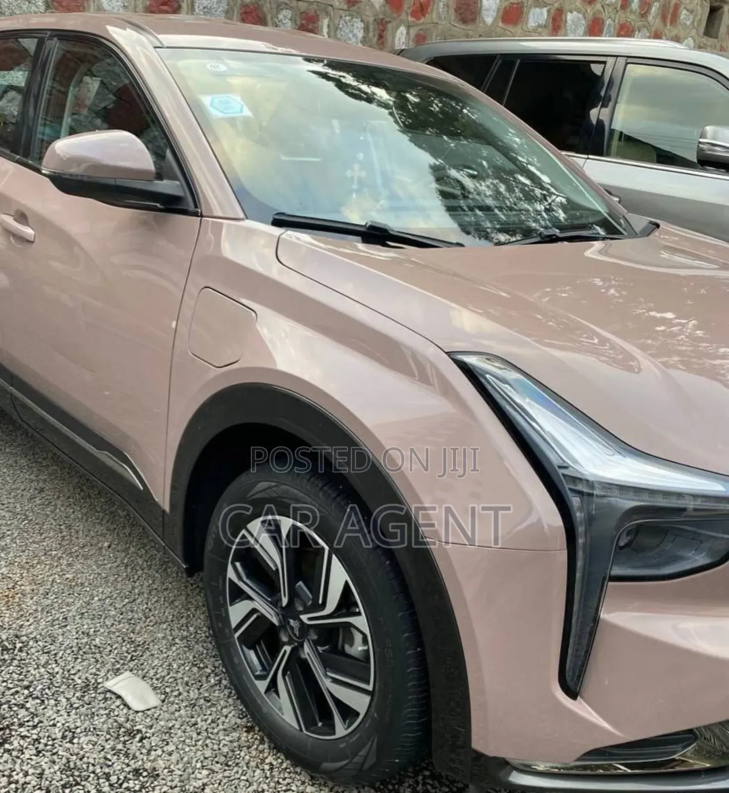 Hozon Neta U 2022 Pink