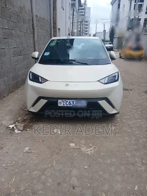 Photo - BYD Seagull 2024 White