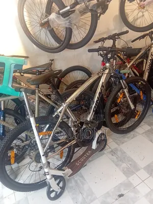 Photo - Bicycle Bike