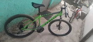 New Shineray Xy200gy-10 2025 Green