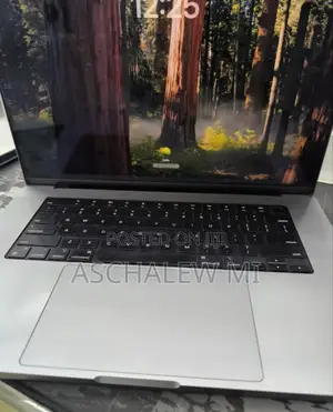 New Laptop Apple MacBook Pro M1 64GB Apple M1 Max SSD 1T