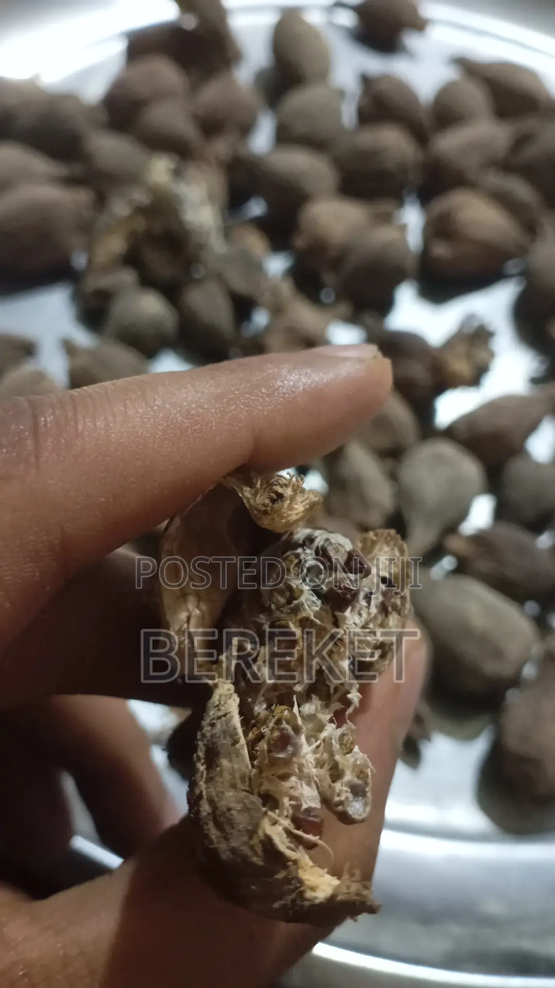 የ ጐፋ ኮረሪማ ሁለተኛ ደረጃ ( Cardamom)