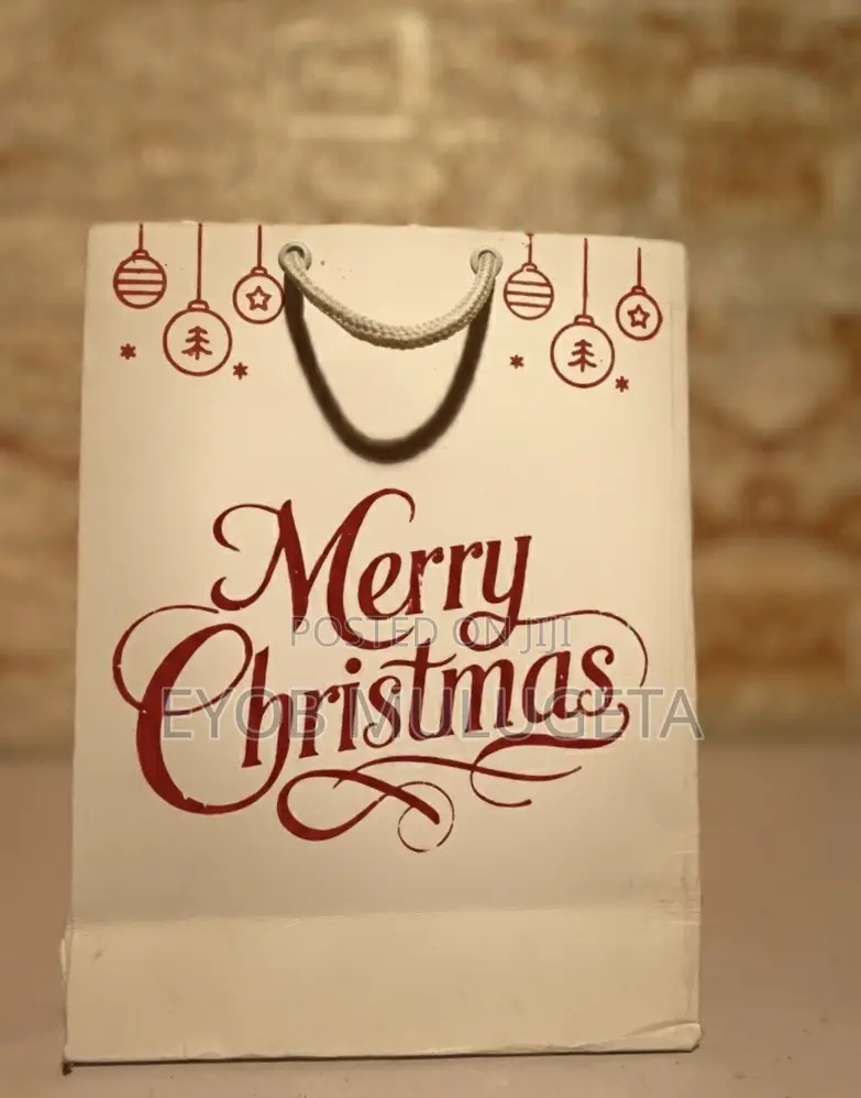 Paper Bag for Christmas