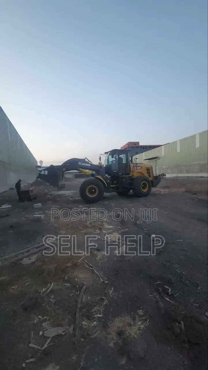 2025 XCMG Loader for Sale | Brand New