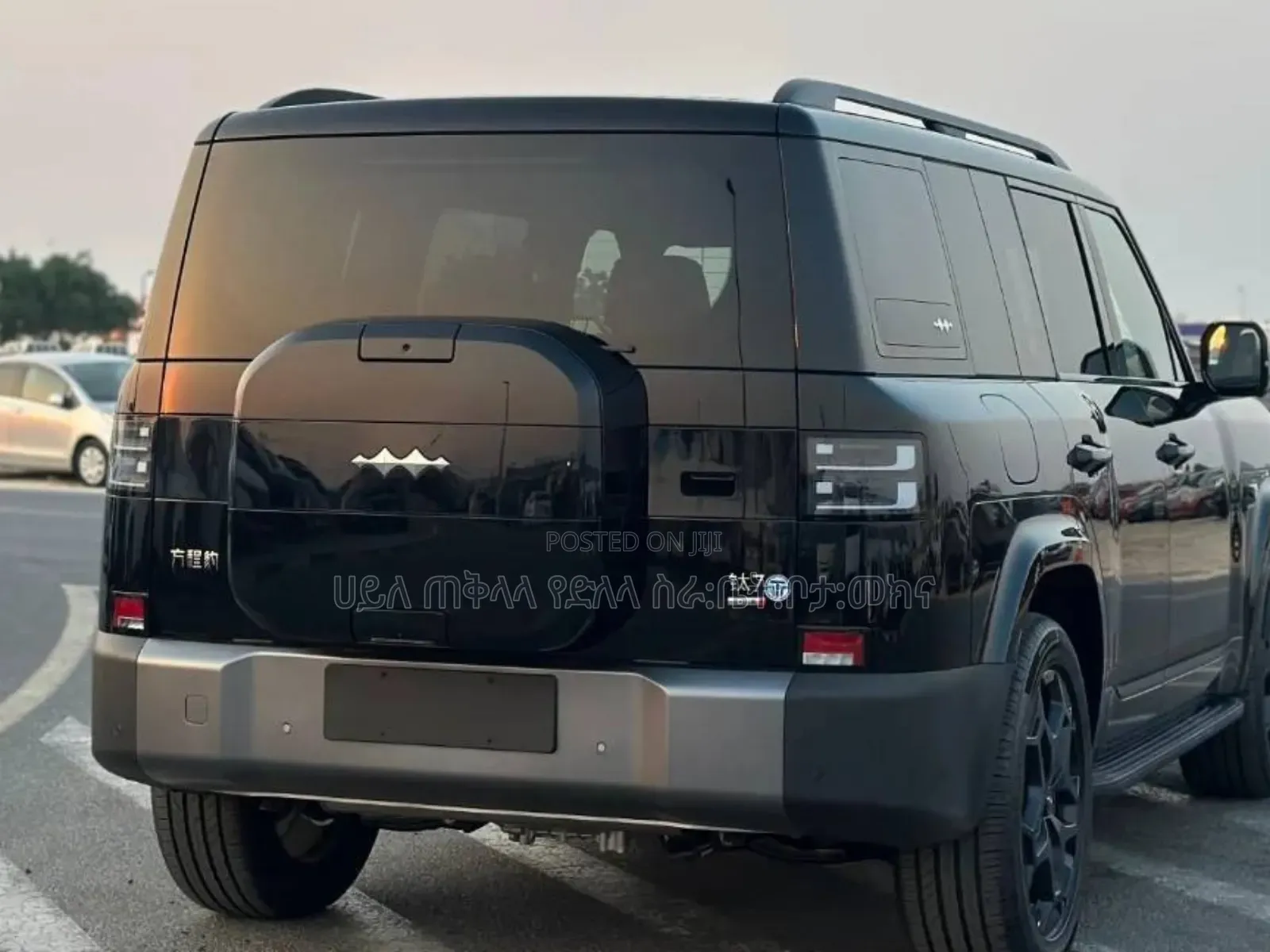 New BYD Leopard 7 2025 Gray