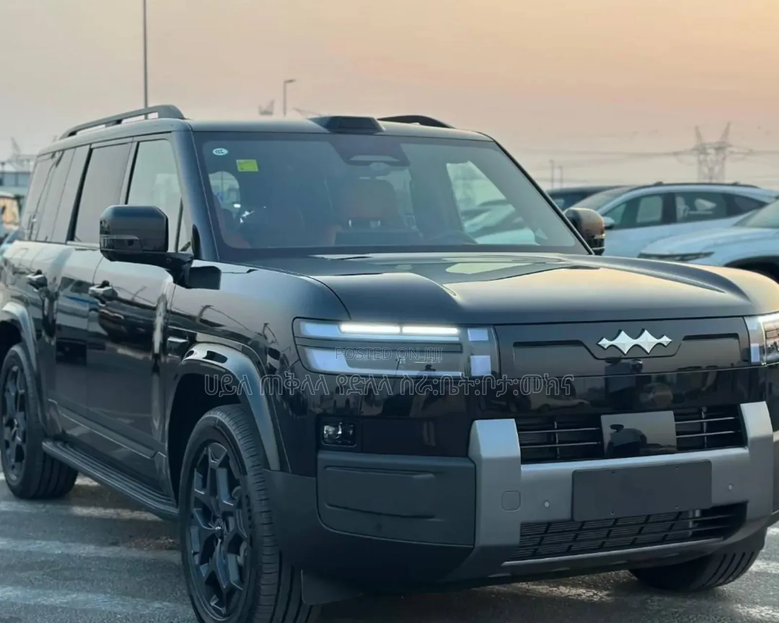 New BYD Leopard 7 2025 Gray