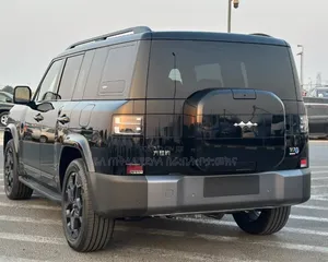 New BYD Leopard 7 2025 Gray