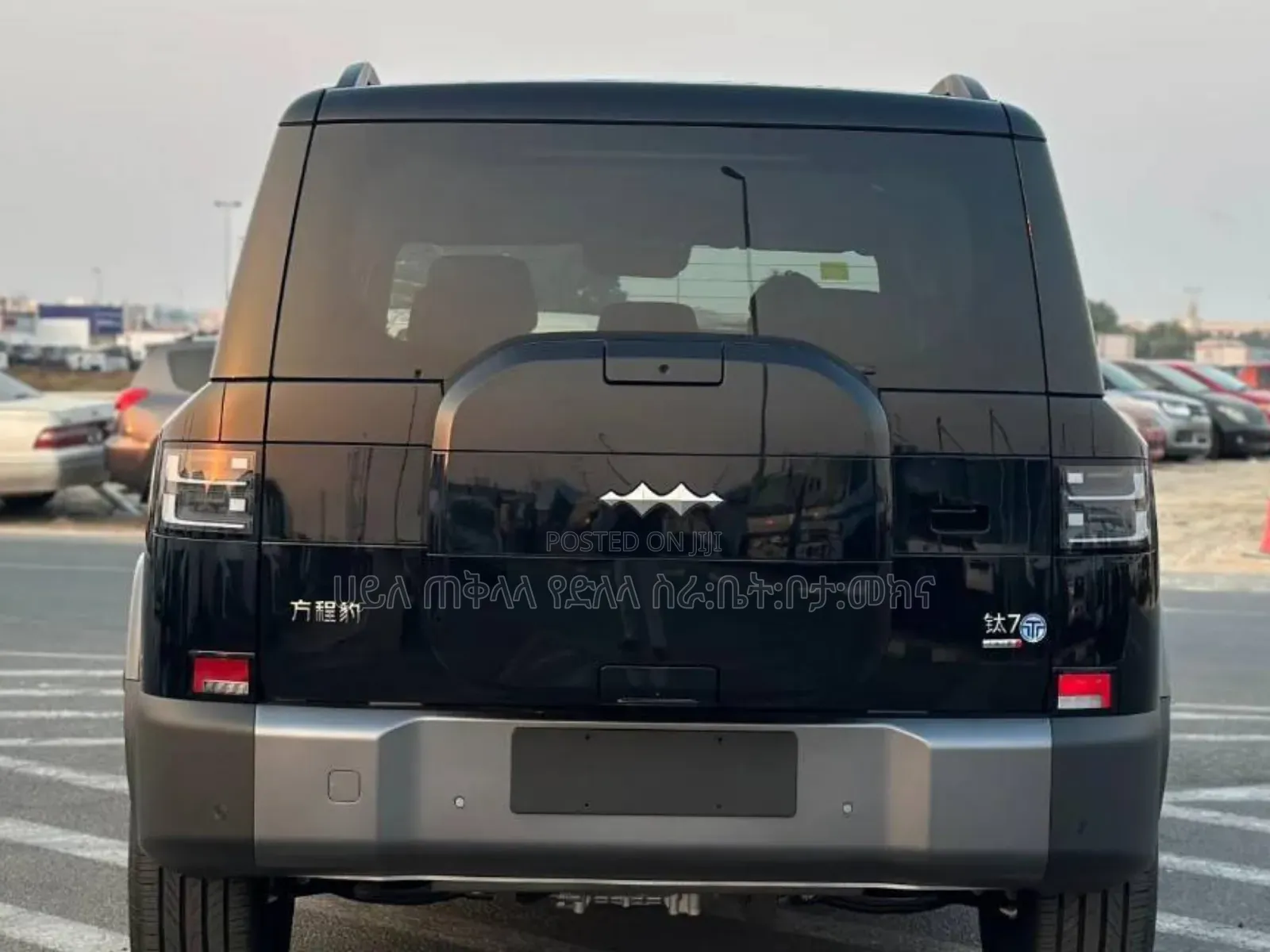 New BYD Leopard 7 2025 Gray