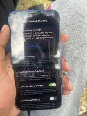 Apple iPhone 12 256 GB Blue