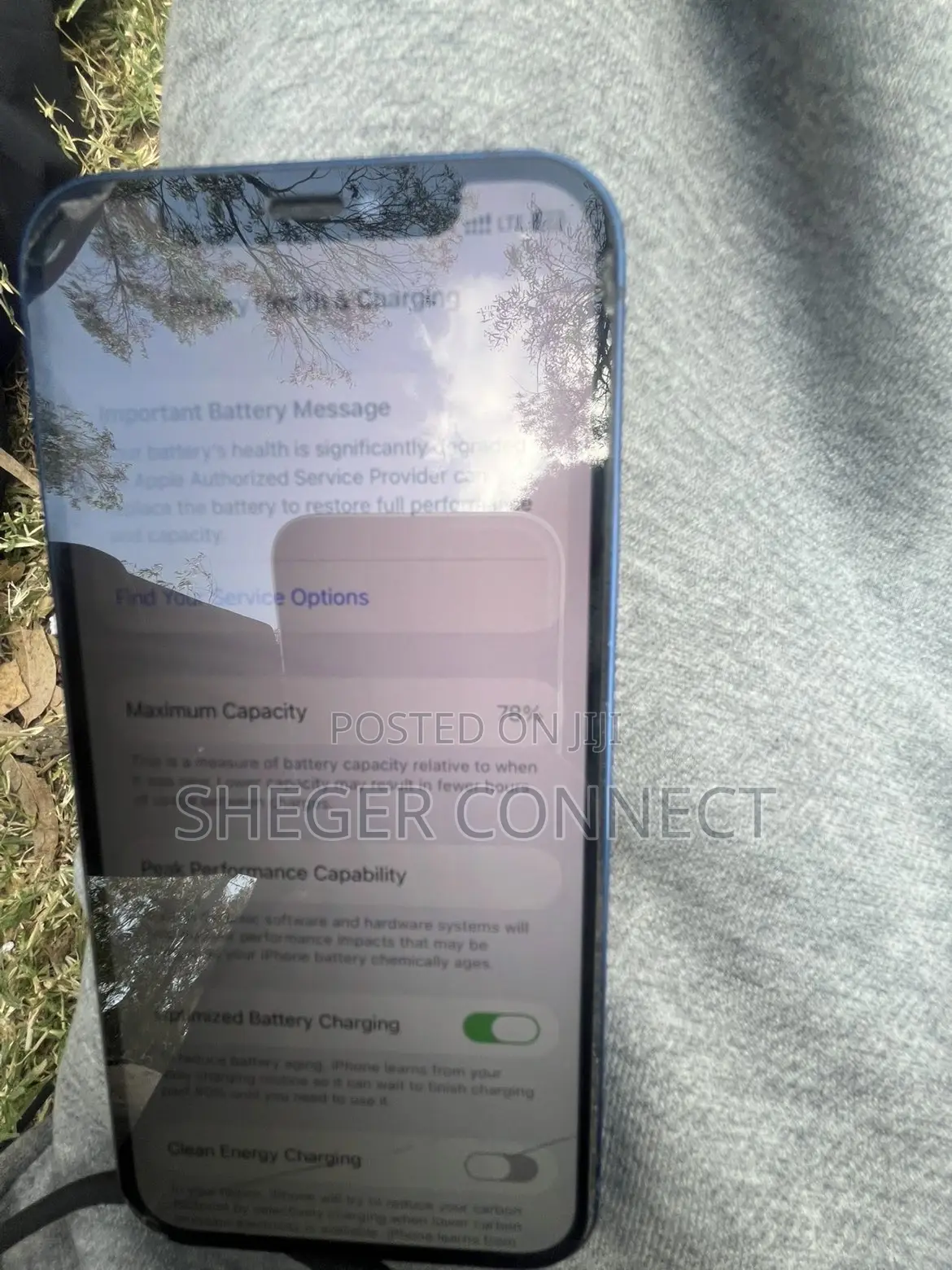 Apple iPhone 12 256 GB Blue