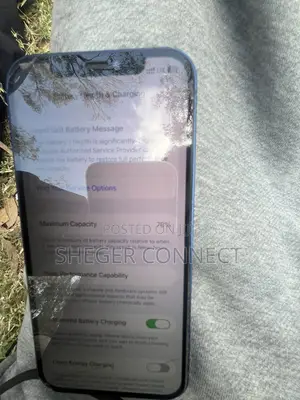 Apple iPhone 12 256 GB Blue