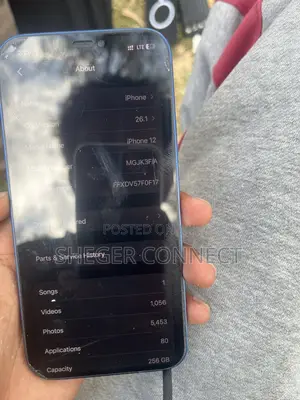 Apple iPhone 12 256 GB Blue