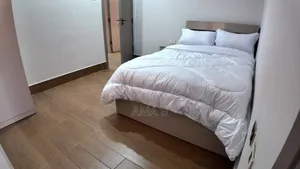 Furnished 2bdrm Apartment in Bole for rent