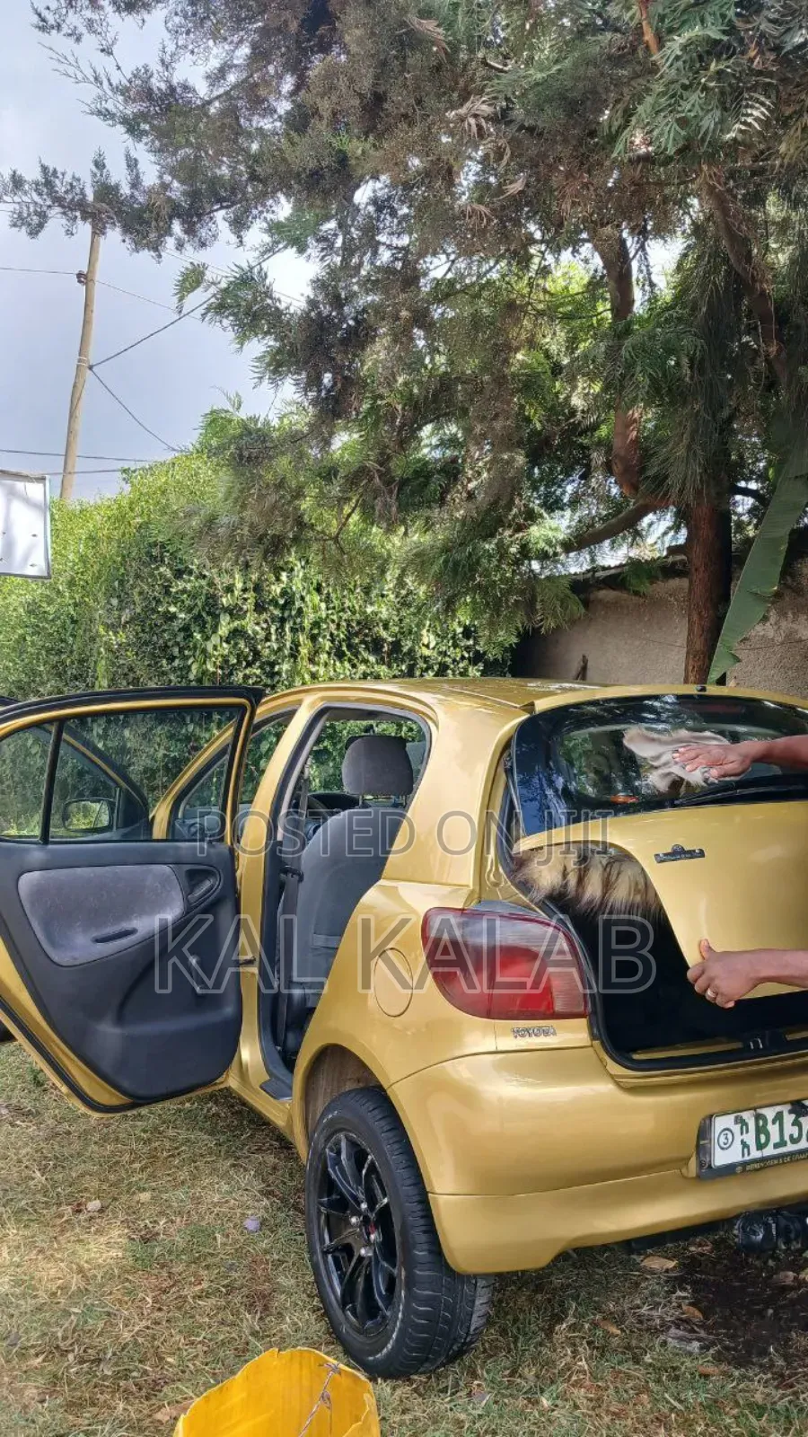 Toyota Vitz 1999 Gold