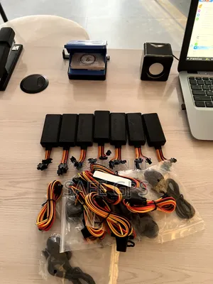 Photo - GPS With Voice Monitoring