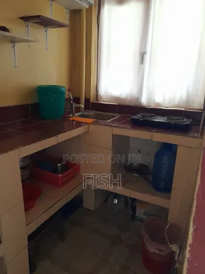 Furnished 1bdrm Condo in Nifas Silk-Lafto for rent