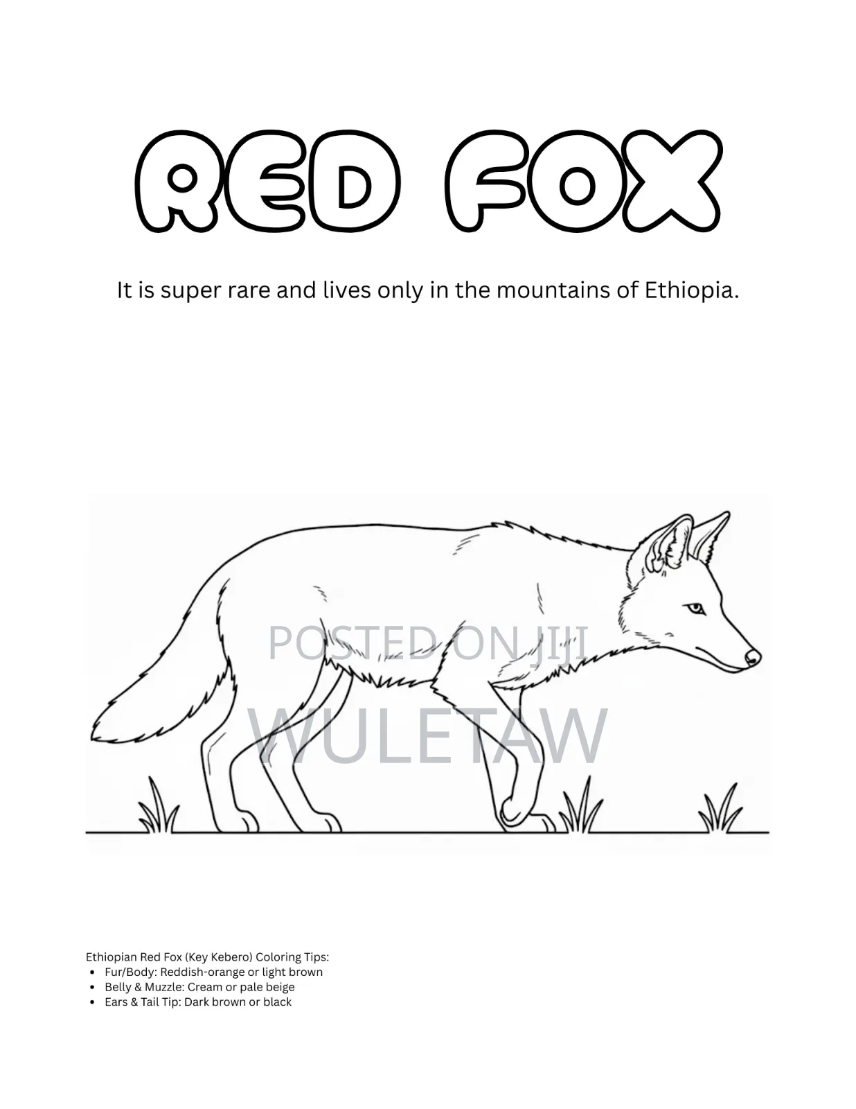 Ethiopian Kids Coloring Book