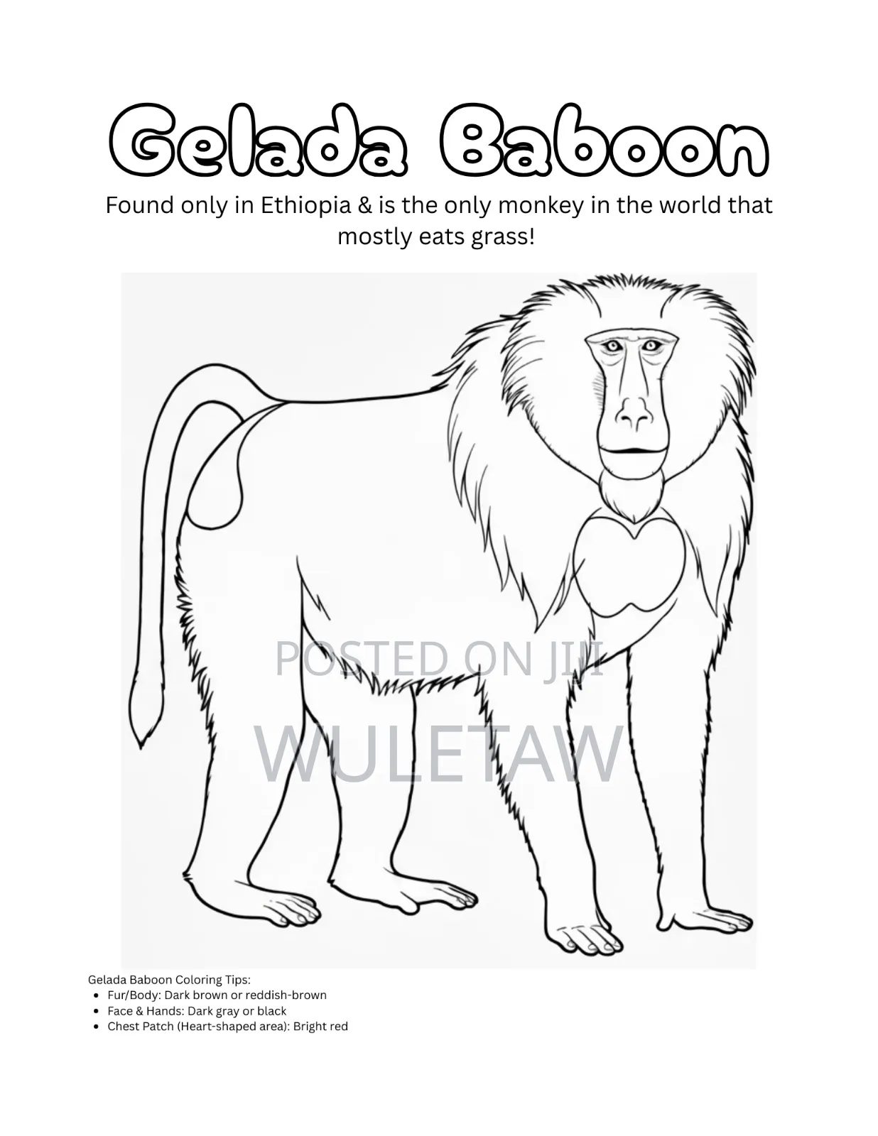 Ethiopian Kids Coloring Book