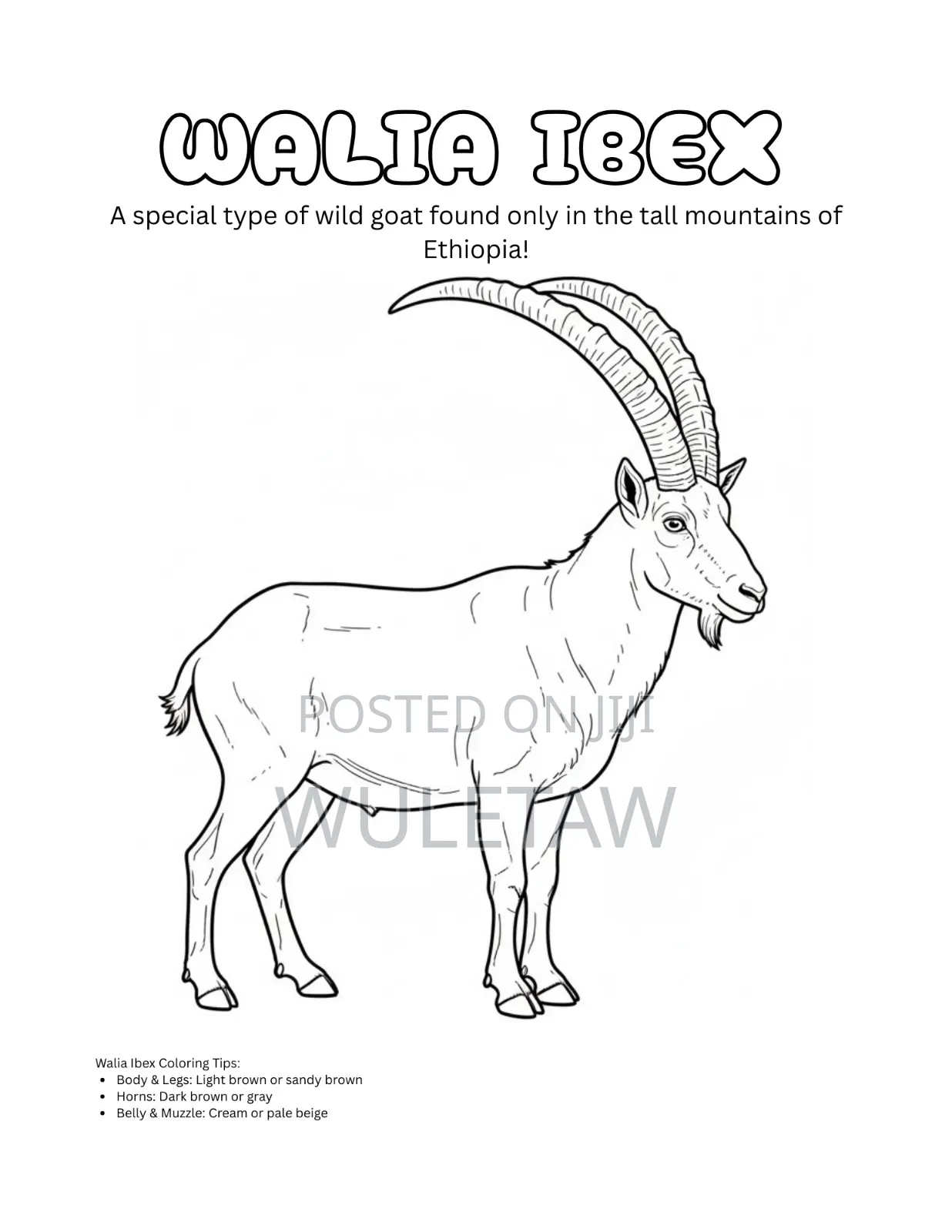 Ethiopian Kids Coloring Book