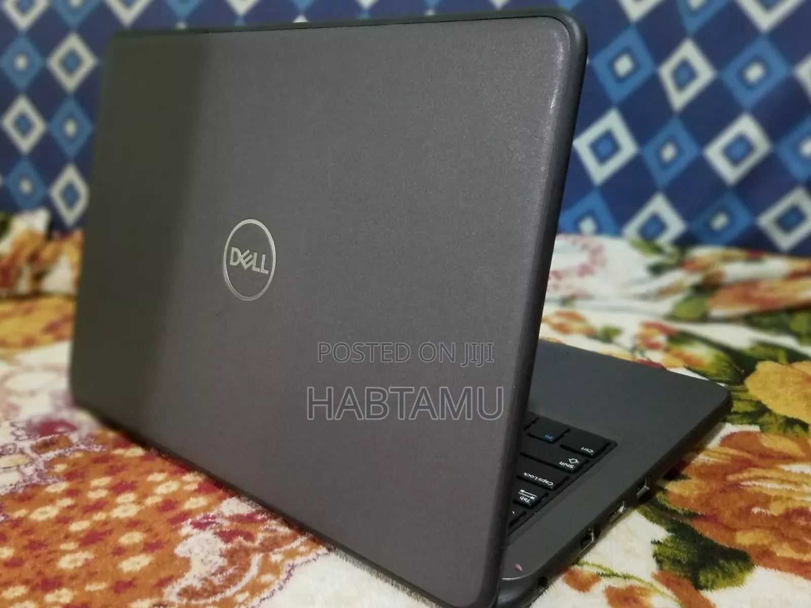 Laptop Dell Latitude 3310 4GB Intel Celeron SSD 256GB