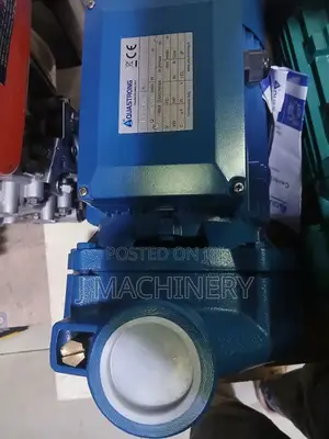 Aquastrong Water Pump