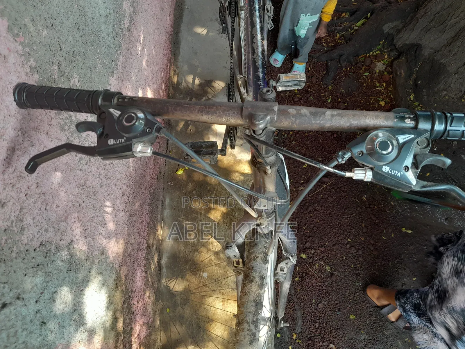 Phoenix Bicycle – Used, Clean, Slightly Negotiable