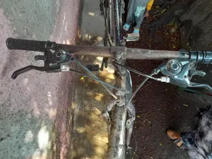 Phoenix Bicycle – Used, Clean, Slightly Negotiable