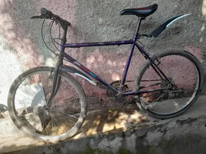 Phoenix Bicycle – Used, Clean, Slightly Negotiable