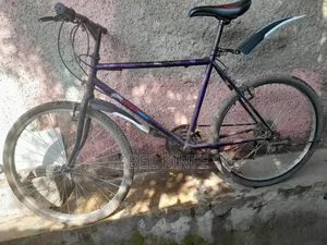 Photo - Phoenix Bicycle – Used, Clean, Slightly Negotiable