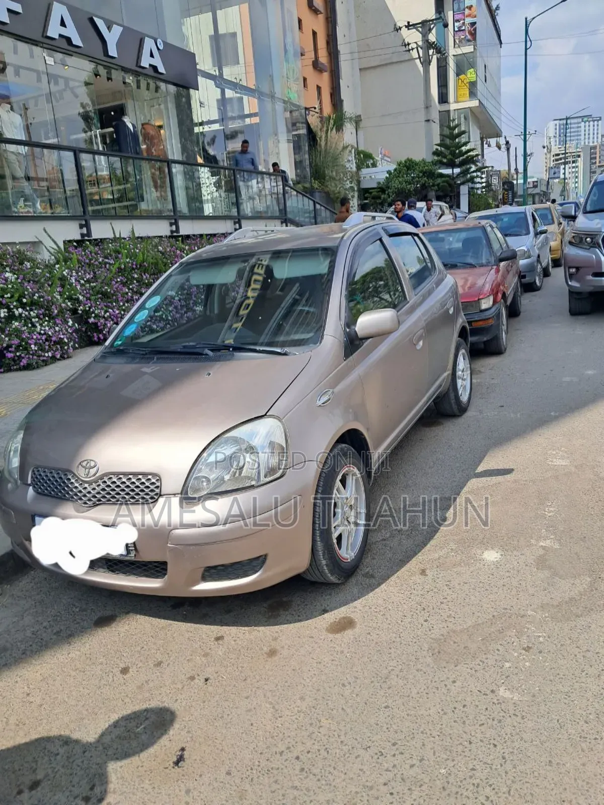 Toyota Vitz 2004 Gold