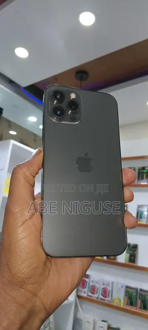 Apple iPhone 12 Pro Max 256 GB Gray