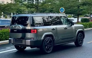 New BYD Leopard 7 2025 Gray