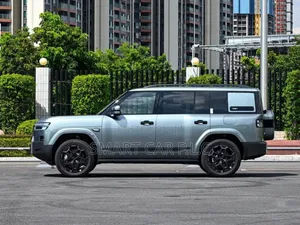 New BYD Leopard 7 2025 Gray