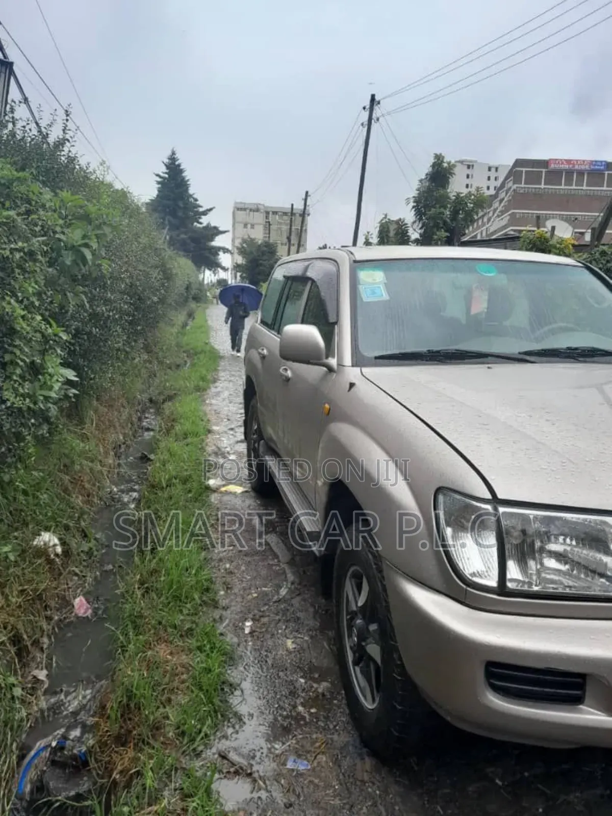 Toyota Land Cruiser 2005 Brown