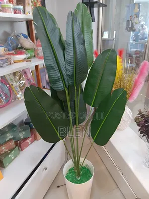 Photo - Artficial Plant