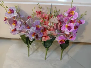 Photo - Colorful Flower