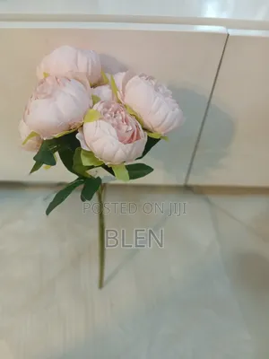 Photo - Colorful Flower