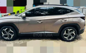 Hyundai Tucson Limited 2021 Gray